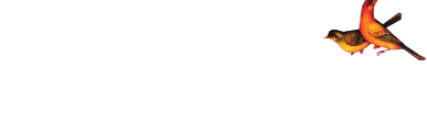 لوگو